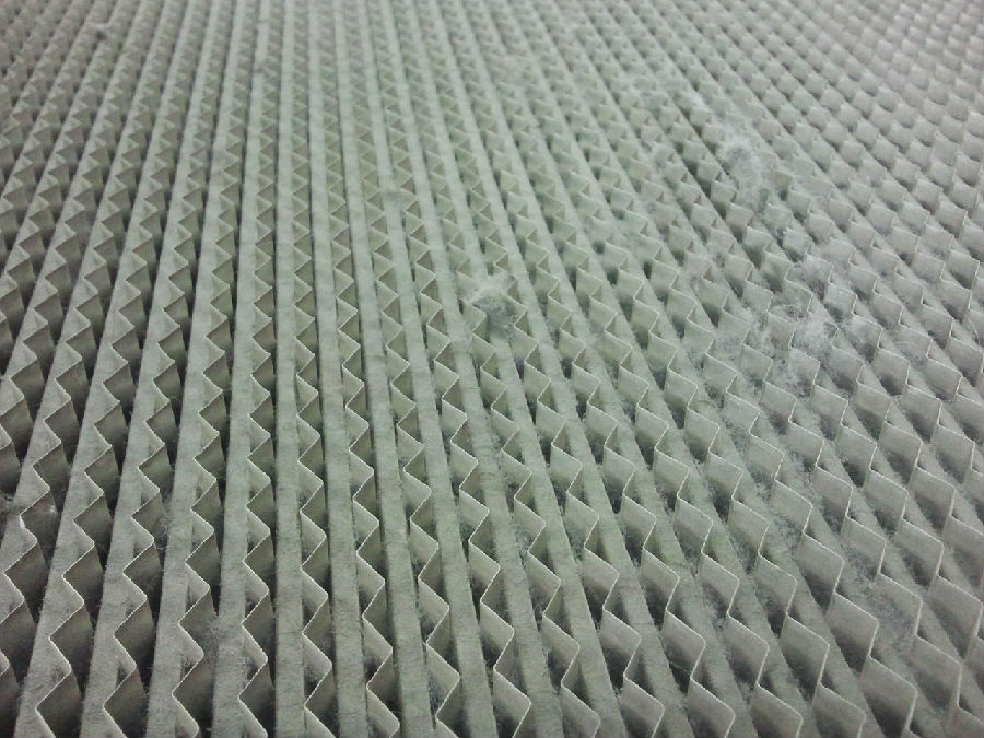 2013-10-04 15.24.15.jpg